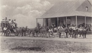Nowatorski środek transportu, zebry do narysowania autokaru pocztowego (zdjęcie czarno-białe) autorstwa South African Photographer