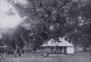 Mitchell Park, Durban (czarno-białe zdjęcie) autorstwa South African Photographer