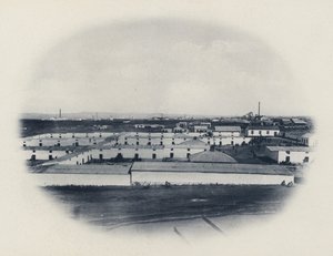 Związek Native, New Primrose Gold Mining Company (zdjęcie czarno-białe) autorstwa South African Photographer