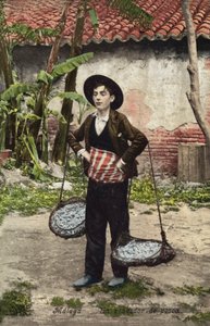 Sprzedawca ryb, Malaga, Hiszpania (zdjęcie kolorowe) autorstwa Spanish Photographer