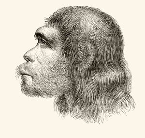 Głowa neandertalczyka, z „Nuestro Siglo”, opublikowana w Barcelonie, 1883 r. autorstwa Spanish School