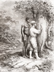 Jules Crevaux, podczas eksploracji Gujany Francuskiej w 1878 r., wyrył swoje inicjały na drzewie nad brzegiem rzeki Oyapock lub Oiapoque autorstwa Spanish School