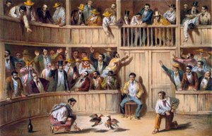 Valla de Gallos, Kuba (kolorowa litografia) autorstwa Spanish School