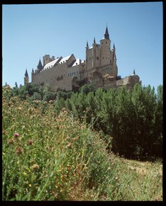 Widok na alcazar autorstwa Spanish School