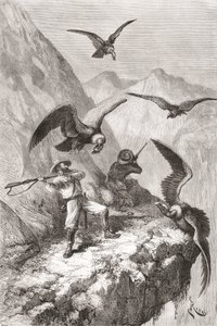 Édouard François André i towarzysz zaatakowany przez kondory w pobliżu Calacali w prowincji Pichincha w Ekwadorze podczas wyprawy botanicznej u podnóża Andów w latach 1875-76 autorstwa Spanish School