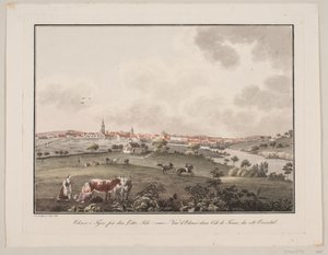 Odense na Fionii, od strony wschodniej