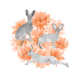 Jack Rabbits, 2021 (ołówek grafitowy i cyfrowo)