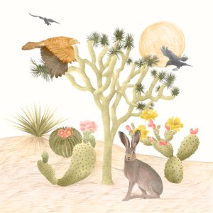 Mojave Desert, 2021 (ołówek grafitowy i cyfrowo) autorstwa Stacy Hsu