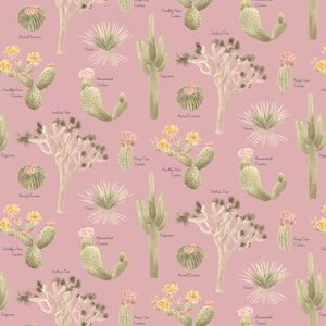 Wzór Mojave Desert Cacti, 2021 (ołówek grafitowy i cyfrowy) autorstwa Stacy Hsu