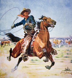 Texas Cowboy (kolor lito)