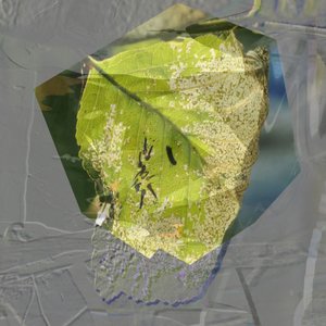 Abstrakcyjny zielony liść autorstwa Stefan Fransson