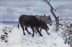 Dwa osły na śniegu