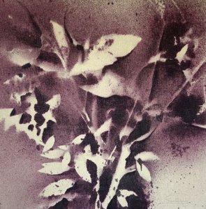 Ciemna abstrakcja botaniczna autorstwa Stefano Mazzolini