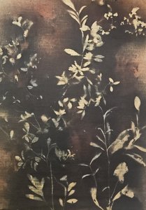 Ciemne botaniczne sylwetki