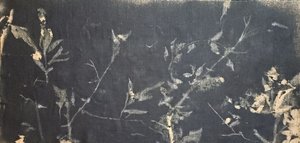 Ciemne studium botaniczne autorstwa Stefano Mazzolini