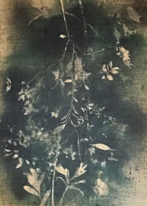 Ciemne studium botaniczne autorstwa Stefano Mazzolini