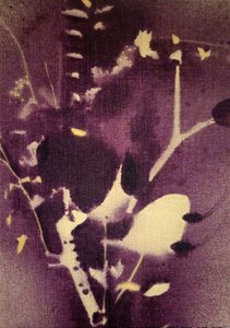Ciemnofioletowe motywy botaniczne autorstwa Stefano Mazzolini