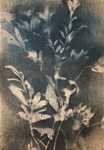 Eteryczne niebieskie motywy botaniczne autorstwa Stefano Mazzolini