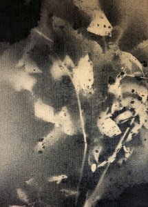 Eteryczne formy botaniczne autorstwa Stefano Mazzolini