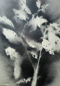 Monochromatyczne studium botaniczne autorstwa Stefano Mazzolini