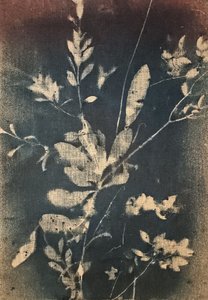 Niebieskie motywy botaniczne vintage autorstwa Stefano Mazzolini