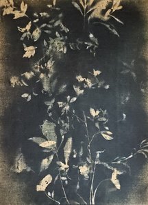 Botaniczne liście w stylu vintage autorstwa Stefano Mazzolini