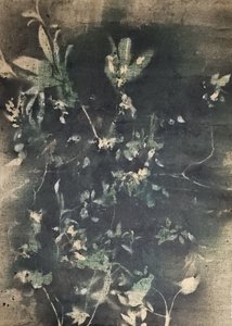 Botaniczne cienie vintage
