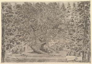 Duże, zamieszkałe drzewo pośrodku z rampami prowadzącymi wokół pnia, pod kamienną pa…, ca. 1653. autorstwa Stefano della Bella