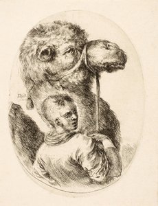 Chłopiec trzymający wielbłąda za uzdę, z „Kilka głów Coiffées à la Persienne”, wyd. vs. 1650 (grawerowanie) autorstwa Stefano della Bella