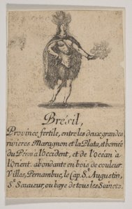 Brazylia, 1644. autorstwa Stefano della Bella
