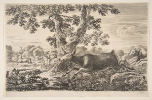 Polowanie na jelenie, z Polowania na zwierzęta Polowania na różne zwierzęta, ca. 1654. autorstwa Stefano della Bella