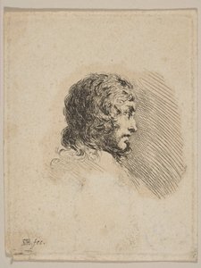 Głowa młodego mężczyzny z profilu, z Portrety różne Recueil de Diverses Piéces S..., ca. 1647. autorstwa Stefano della Bella