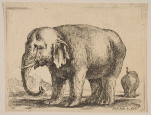 Płyta 10: słoń, z różnych zwierząt Diversi animali, ca. 1641. autorstwa Stefano della Bella