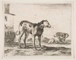 Tabliczka 11: psy, z różnych zwierząt Diversi animali, ca. 1641. autorstwa Stefano della Bella