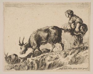 Tabliczka 14: kozy pasterskie, ca. 1641. autorstwa Stefano della Bella