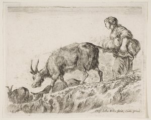 Tabliczka 14: kozy pasterskie z różnych zwierząt Diversi animali, ca. 1641. autorstwa Stefano della Bella