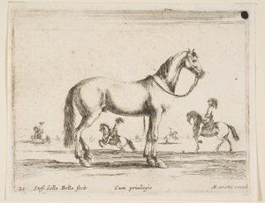 Tablica 21: koń, z różnych zwierząt Diversi animali, 1641. autorstwa Stefano della Bella
