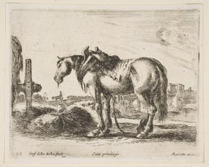 Tabliczka 22: koń zaprzęgowy, z różnych zwierząt Diversi animali, ca. 1641.