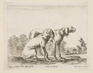 Tablica 23: dwa psy, z różnych zwierząt Diversi animali, ca. 1641. autorstwa Stefano della Bella
