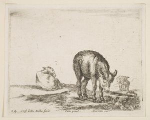 Talerz 24: osły, z różnych zwierząt Diversi animali, ca. 1641. autorstwa Stefano della Bella