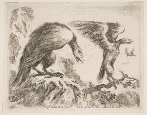 Zdjęcie 2: orzeł i orzeł, z różnych zwierząt Diversi animali, ca. 1641. autorstwa Stefano della Bella
