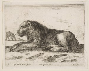 Tabliczka 5: leżący lew, z książki Różne zwierzęta Diversi animali, 1641. autorstwa Stefano della Bella