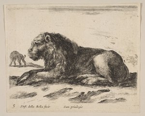 Tabliczka 5: leżący lew, z różnych zwierząt Diversi animali, ca. 1641. autorstwa Stefano della Bella
