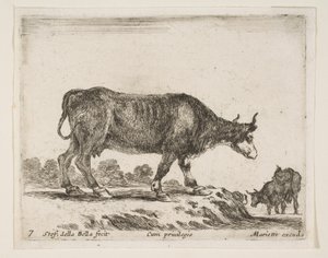 Płyta 7: wół, z różnych zwierząt Diversi animali, ca. 1641. autorstwa Stefano della Bella