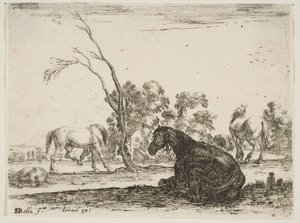 Tablica 8: koń siedzący po prawej stronie, widziany z tyłu i zwrócony w lewo, trzy inne konie..., 1642.