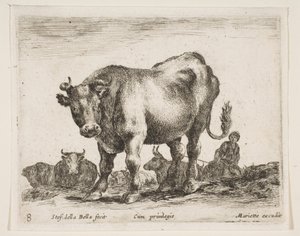 Tabliczka 8: krowa, z różnych zwierząt Diversi animali, ca. 1641. autorstwa Stefano della Bella