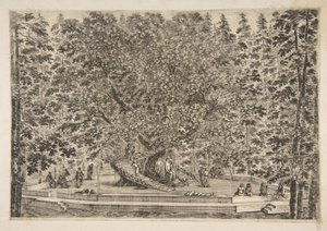 Domek na drzewie w Pratolino, ca. 1653. autorstwa Stefano della Bella
