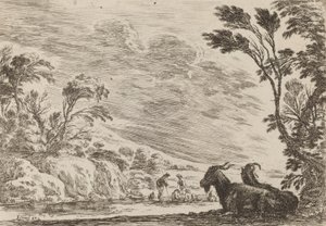 Dwie leżące kozy, 1642. autorstwa Stefano della Bella