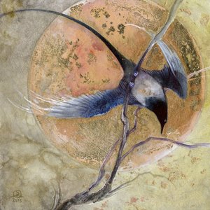  autorstwa Stephanie Law