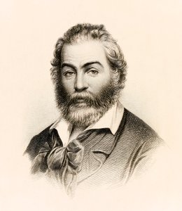 Frontyspis z wydania „Liście trawy” z 1860 roku zbioru poezji amerykańskiego poety Walta Whitmana autorstwa Stephen Alonzo Schoff